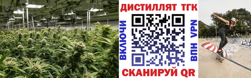 закладка Торжок omg как зайти ТГК вейп с тгк